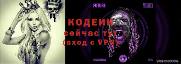 mdpv Весьегонск