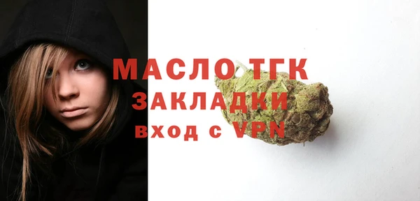твердый Ладушкин