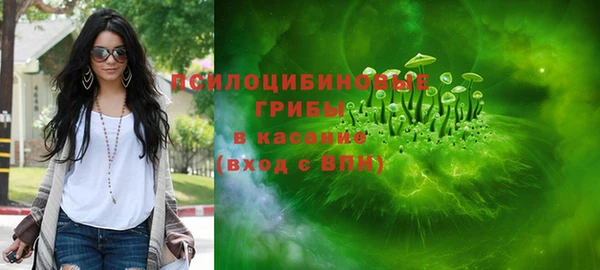 твердый Ладушкин