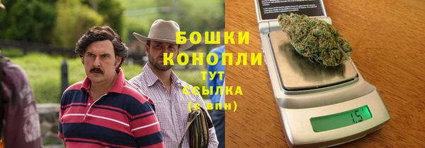 твердый Ладушкин