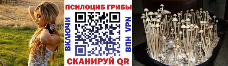 Галлюциногенные грибы GOLDEN TEACHER  Межгорье 